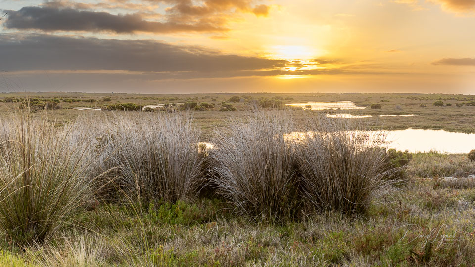 R5-230K-9395-HDR-Pano.jpg